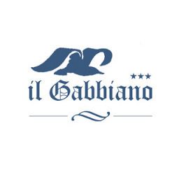 Titolo: IL GABBIANO