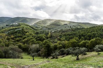 Titolo: TENUTA SAN FELICE