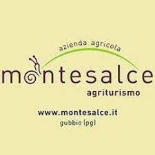 Titolo: AGRITURISMO MONTESALCE