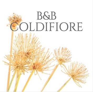 Titolo: B&B COLDIFIORE