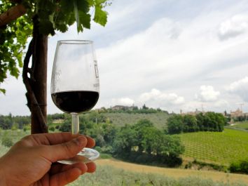 Un calice di vino rosso davanti a graziosi vigneti in Umbria.