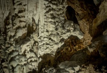 Titolo: GROTTA DEL MONTE CUCCO PERCORSO SCOPERTA