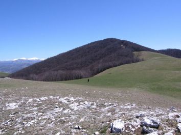 Titolo: NEL PARCO CHE NON C’È: LA VALLE MALPANA E LA CROCE D'ASPRA