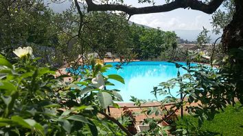 Un giardino tranquillo con piscina, abbellito da piante e fiori. Uno spazio ideale per il relax.