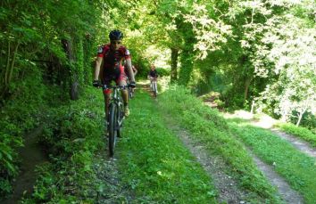 Due ciclisti percorrono un sentiero verde circondato dalla natura.