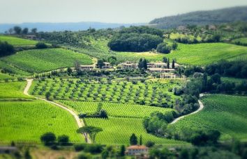 Un paesaggio collinare con vigneti, una residenza circondata da ulivi e alberi.