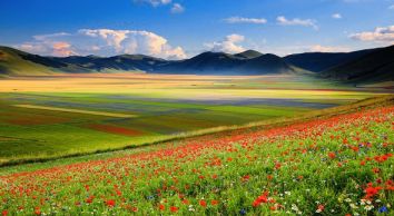 Titolo: FIORITURA A CASTELLUCCIO DI NORCIA & CASCATA DELLE MARMORE