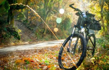 Titolo: Bike and boat tour of Piediluco Lake