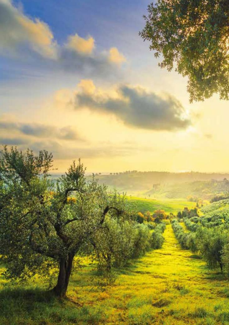 Un panorama delle colline umbre illuminate dalla luce del tramonto.