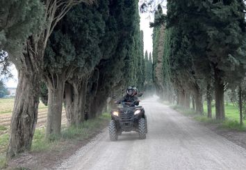 Un appassionato guida un quad lungo una strada in pietra fiancheggiata da alti cipressi, immerso nella natura.