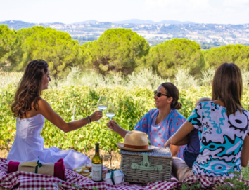 Titolo: Lunch in cantina a Montefalco