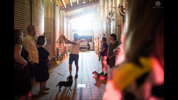 Titolo: Visita guidata in cantina e degustazione di quattro vini