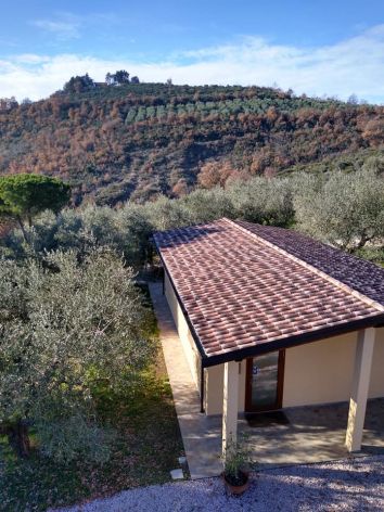 Titolo: Olive Oil Tour