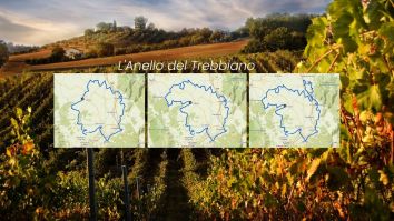 Titolo: The Trebbiano Ring