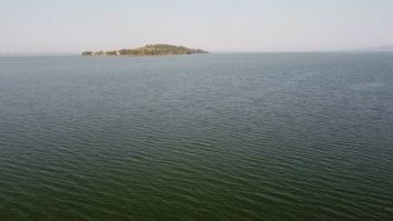 Un'isola tranquilla circondata da acque calme, che offre un'atmosfera serena e naturale.