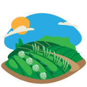 Titolo: Percorso formativo: da “FarmVille” alla vita reale, dall’orto in 3D all’orto BIO