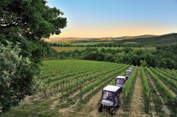 Titolo: ECO-TOUR IN THE VINEYARD WITH ELECTRIC JEEP