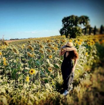 Titolo: Bio-tasting tour . Discovering the Farm: from the land to good food!