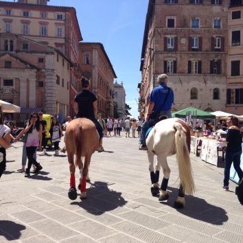 Titolo: APERITIVO IN SELLA AD UN CAVALLO