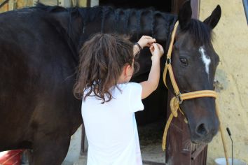 Titolo: LIFE ON A FARM