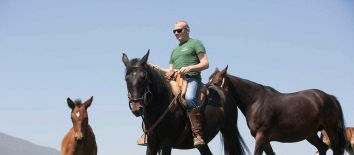 Una settimana in Umbria passeggiate a cavallo nella campagna umbra. Vivere a Poggiovalle Umbria my Love - Un cavaliere montato su un cavallo, circondato da altri cavalli in un ambiente tranquillo.