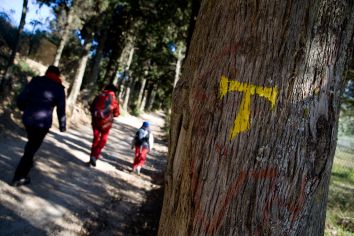 Un gruppo di persone passeggia su un sentiero del bosco. Un albero con un simbolo giallo che segna il percorso è in evidenza.