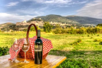 Titolo: Pic-nic in Vigna nel Vigneto di Assisi