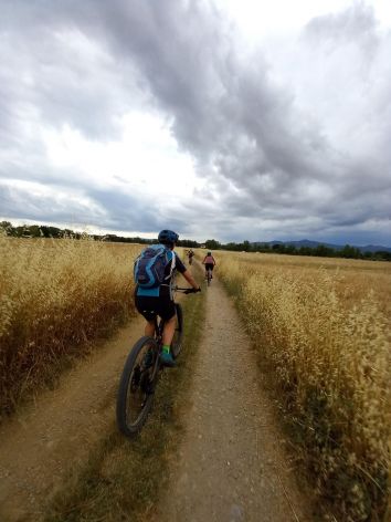 Titolo: E-Bike & Kunst - auf den Spuren von Piero della Francesca