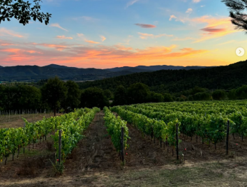 Titolo: Il Vinosanto . Viaggio nelle tradizioni vinicole dell'Altotevere Umbro