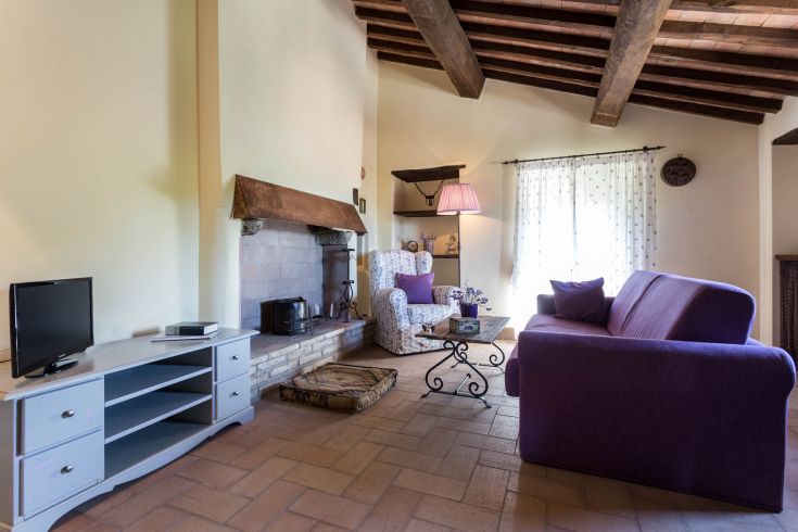Un soggiorno confortevole con un camino, divani di tonalità viola e un'atmosfera tranquilla.