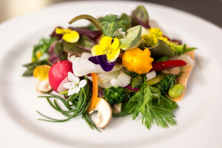 Un piatto fresco e variegato fatta di diverse verdure e fiori edibili, perfetto per un pranzo leggero.