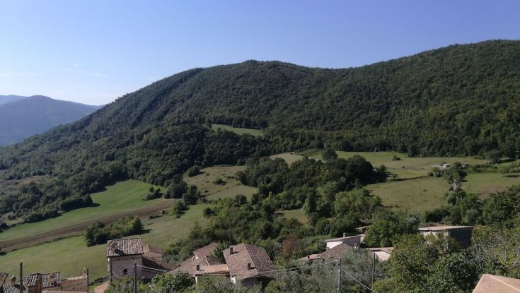 Vue panoramique de collines ondulées, d'arbres et de maisons de campagne en arrière-plan.