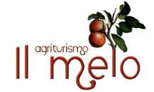 Agriturismo Il Melo is surrounded by lush landscapes and offers simple yet cozy rooms, perfect for families seeking relaxation and outdoor activities.