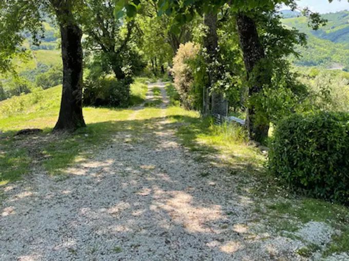 Path surrounded by tranquil nature, adorned with trees and surrounding green hills.