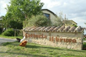 Agriturismo con animali, ideale per famiglie. Immerso nel verde vicino a località umbre.