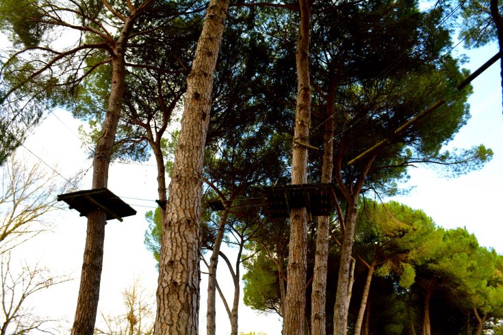 Un sentier entouré de verdure, parfait pour les amoureux de la nature et les promenades en plein air.