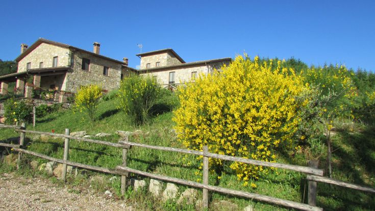 Bauernhof umgeben von grünen Hügeln und gelben Blumen, in einer ruhigen natürlichen Umgebung.