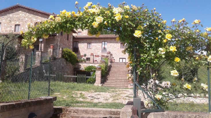 Bauernhaus umgeben von gelben Blumen und üppiger grüner Vegetation.