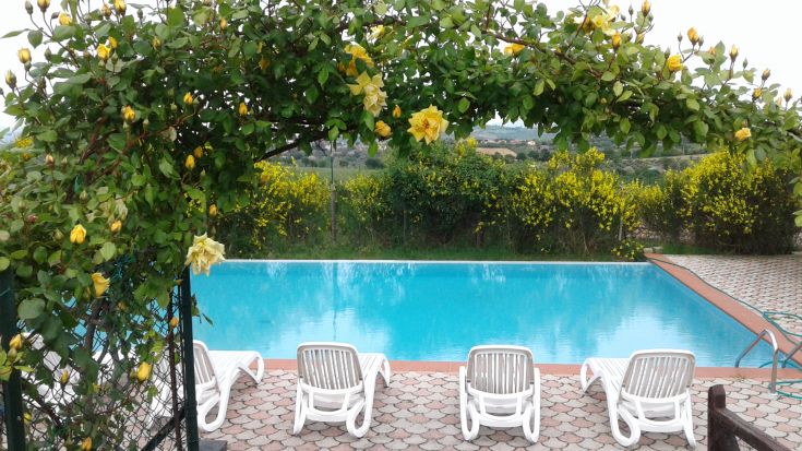 Ein ruhiger Pool, umgeben von einer Vielzahl von Pflanzen und Blumen, perfekt zum Entspannen.