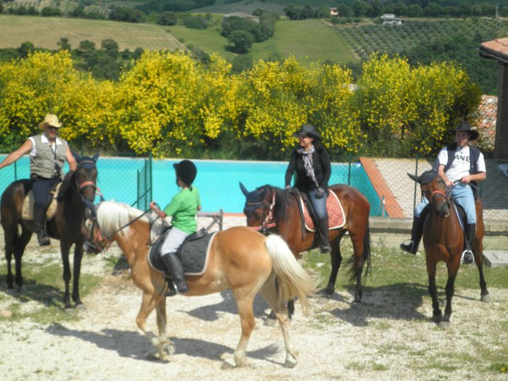 Reiter in einer natürlichen Umgebung mit gelben Blumen und grünen Hügeln im Hintergrund.