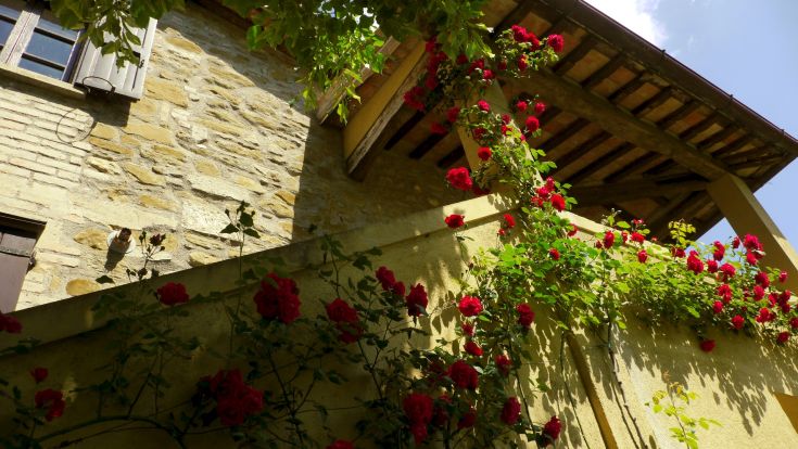 A stone palace surrounded by red roses, under a clear sky.
