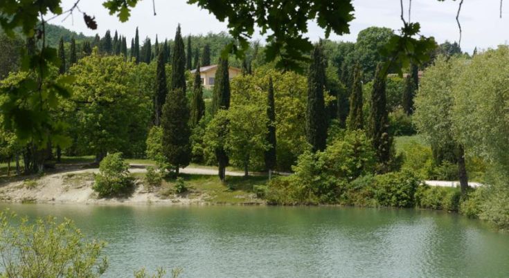 A natural refuge with lush green trees and a calm lake, ideal for serene moments.
