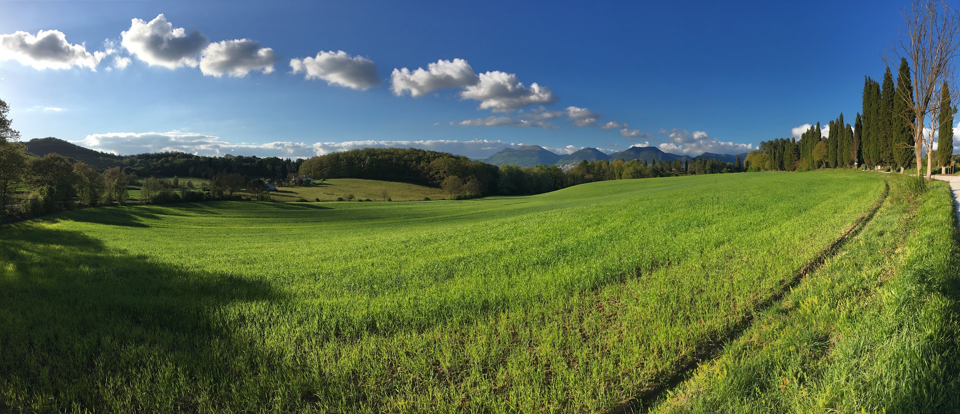 Panorama di colline verdi con alberi e cielo blu sereno, rappresentante un ambiente naturale tranquillo.
