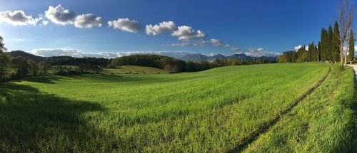A panoramic view of green hills with trees and a serene blue sky, depicting a peaceful natural environment.