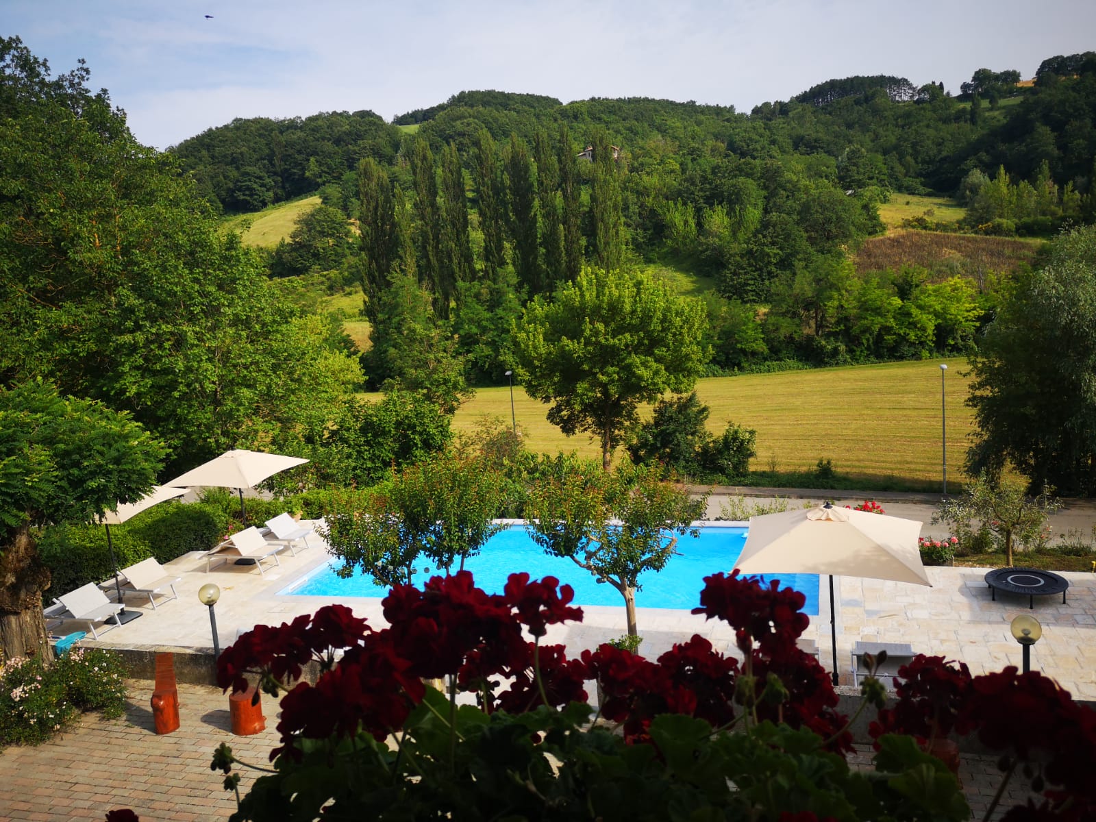Immersa nel verde, la Villa Ginevra offre un ambiente tranquillo con giardino e piscina.