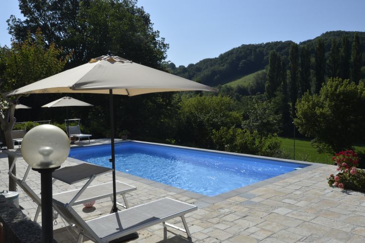 Relax in this peaceful space with a pool, surrounded by lush greenery.