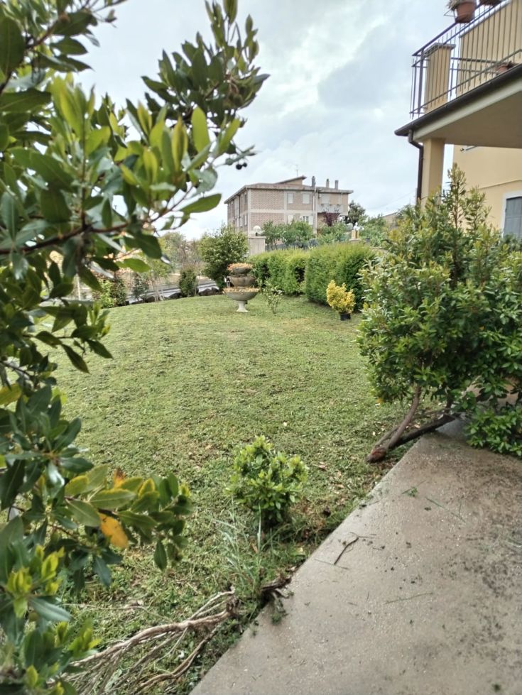 Well-maintained garden with a green lawn and neatly arranged ornamental plants.