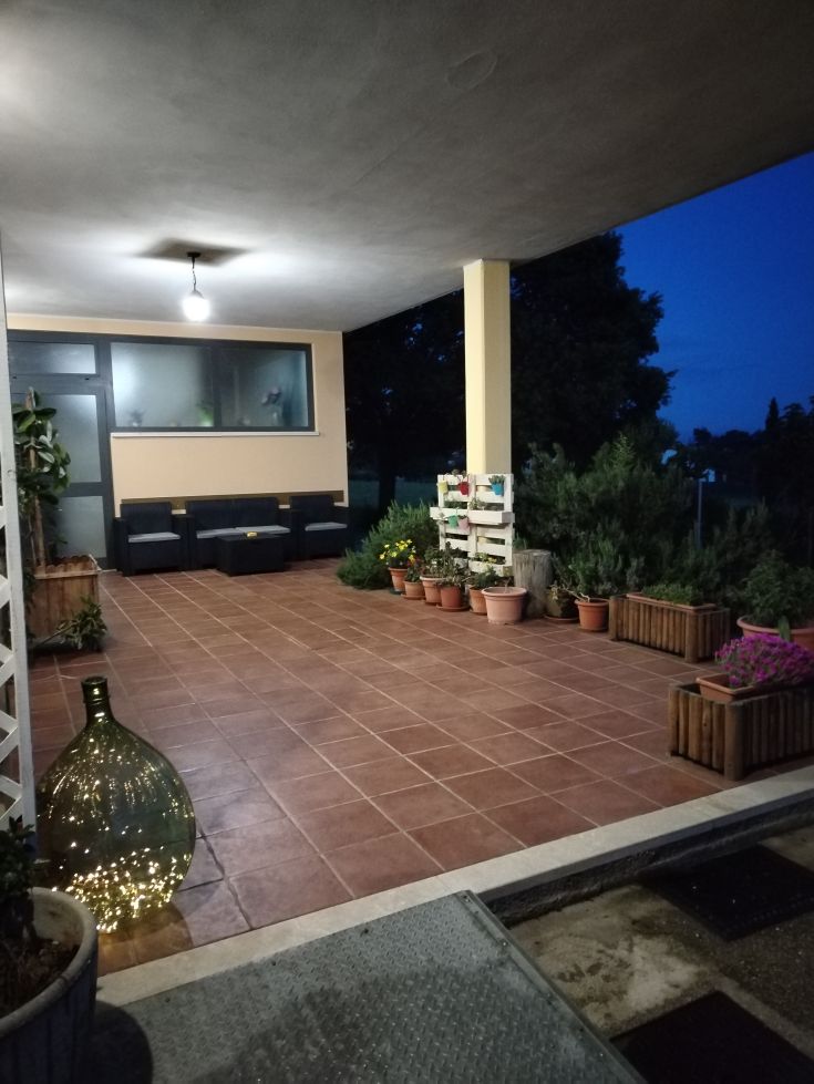 Spacious outdoor area, well-maintained, perfect for evening relaxation with plants and comfortable furniture.