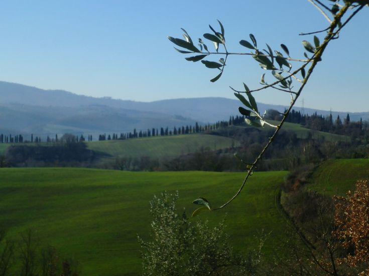 A hilly landscape with green vegetation and trees, represents a peaceful countryside environment.