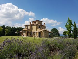 Ampio casolare in pietra con giardino, circondato da piante di lavanda e un ambiente verde, ideale per soggiorni familiari.